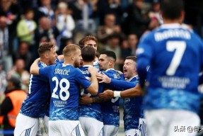 九游体育app-fm2023巴勒丹兹